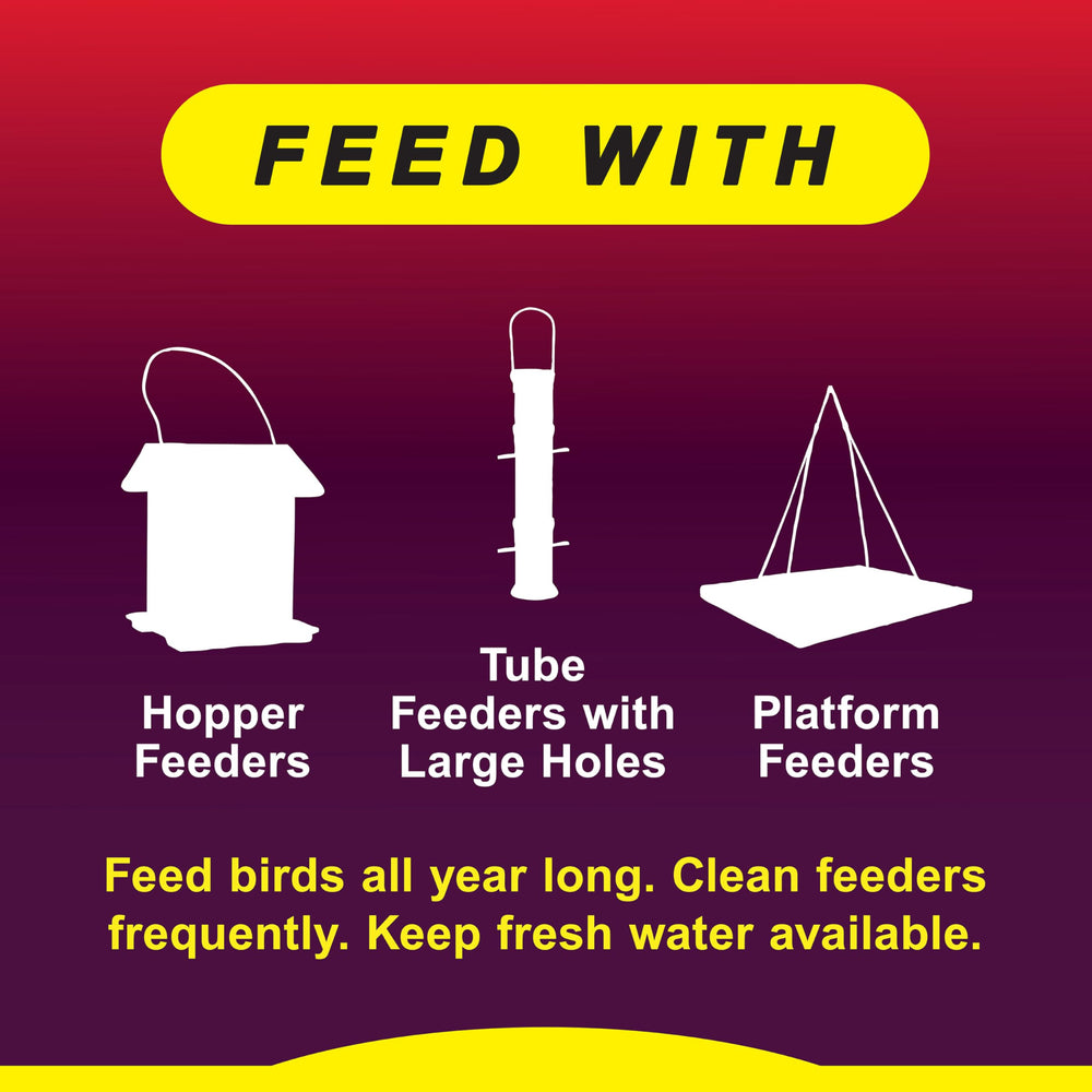 Attractive birds feeding on Wild Delight Squirrel Away Wild Bird Food