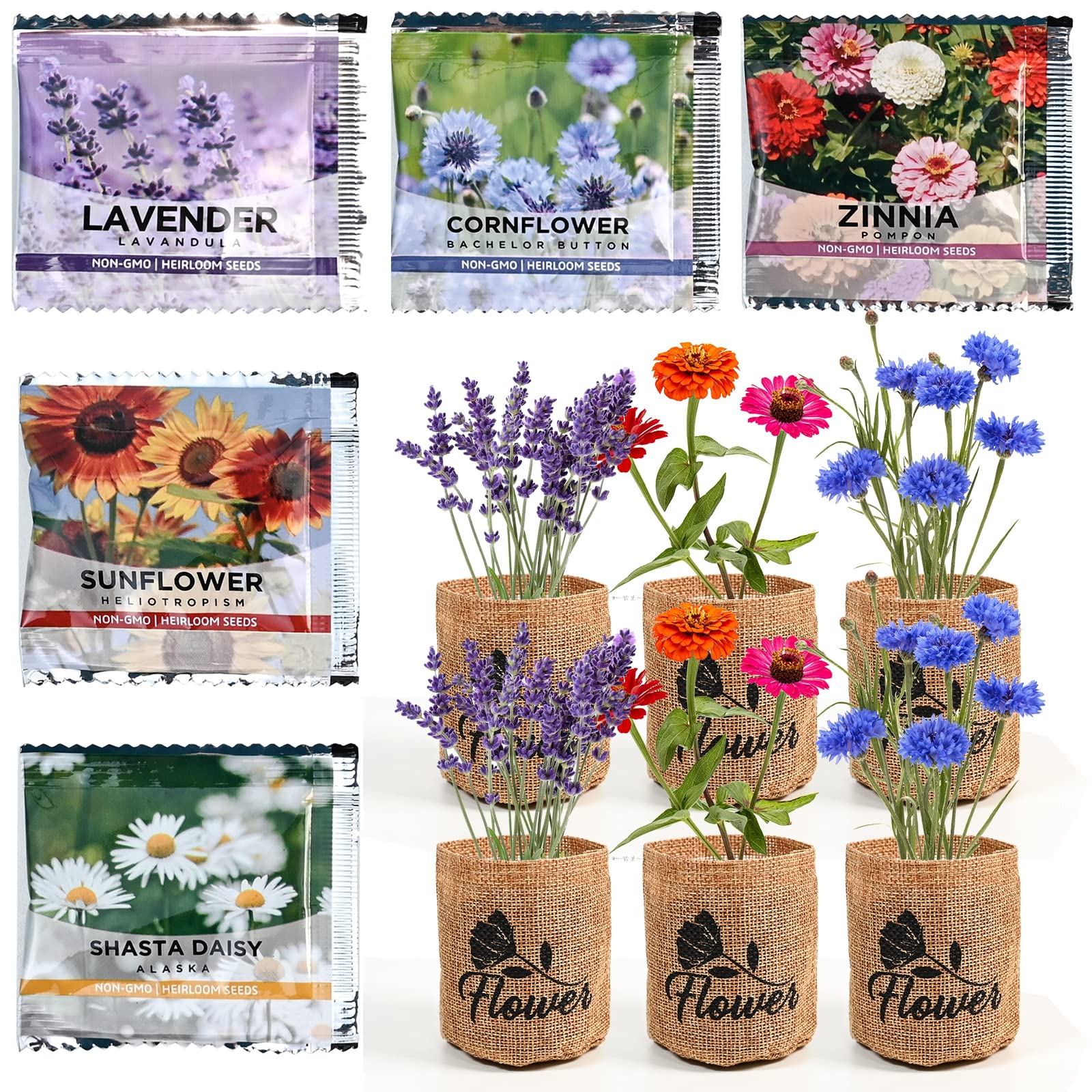 Attractive packaging of the Meekear Indoor Daisy Garden Starter Kit