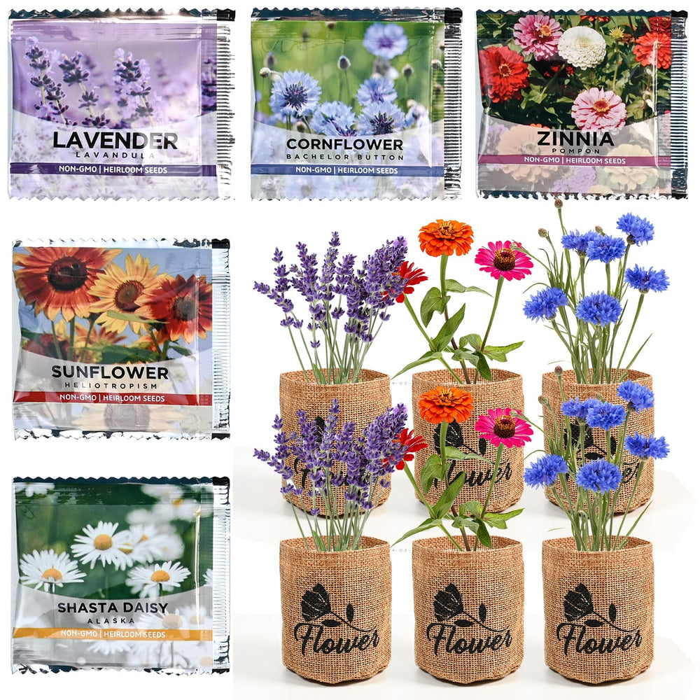 Attractive packaging of the Meekear Indoor Daisy Garden Starter Kit