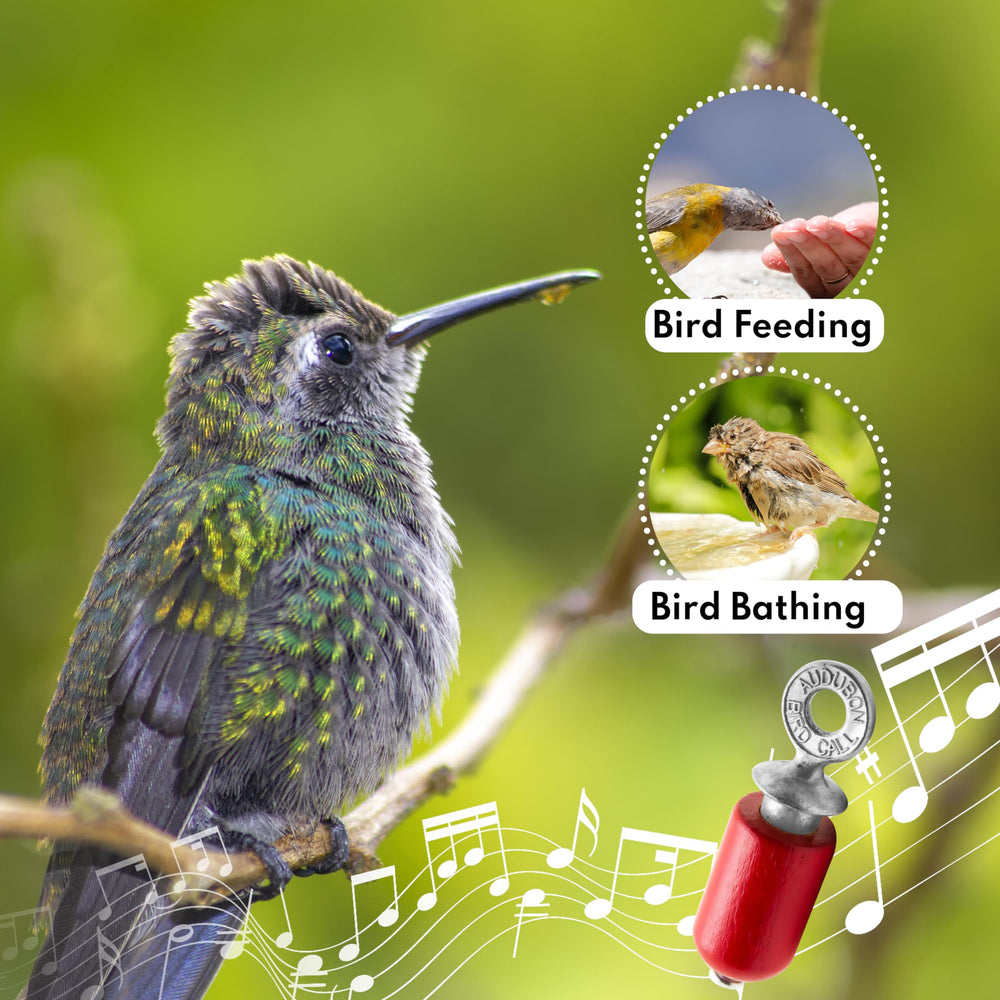 Audubon Bird Call with powdered rosin included