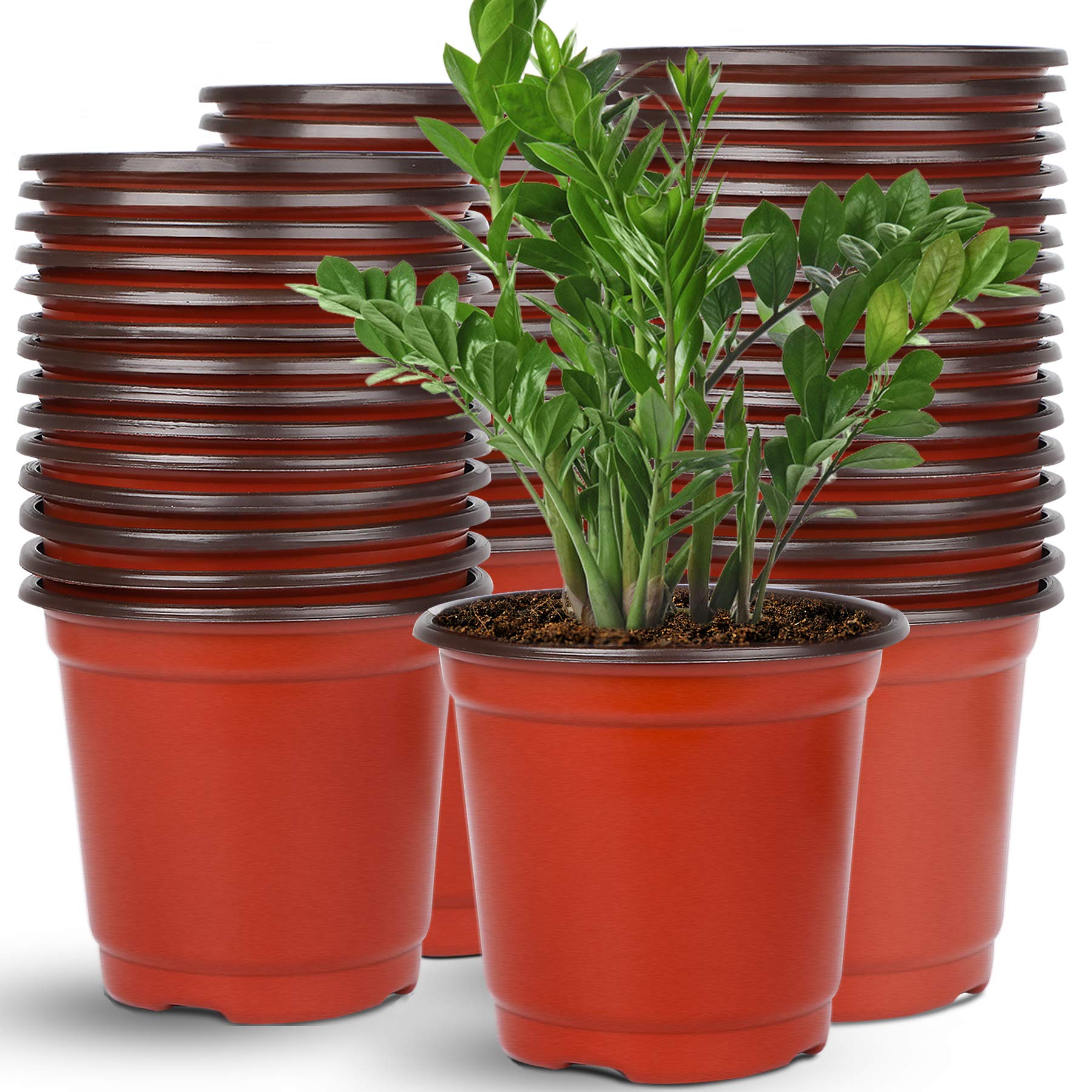 Augshy 110 Pcs 6-inch plastic nursery pots red color front view