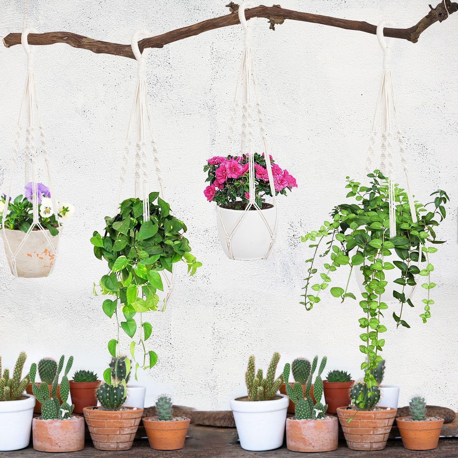 Augshy 27-inch macrame plant hanger packaging details