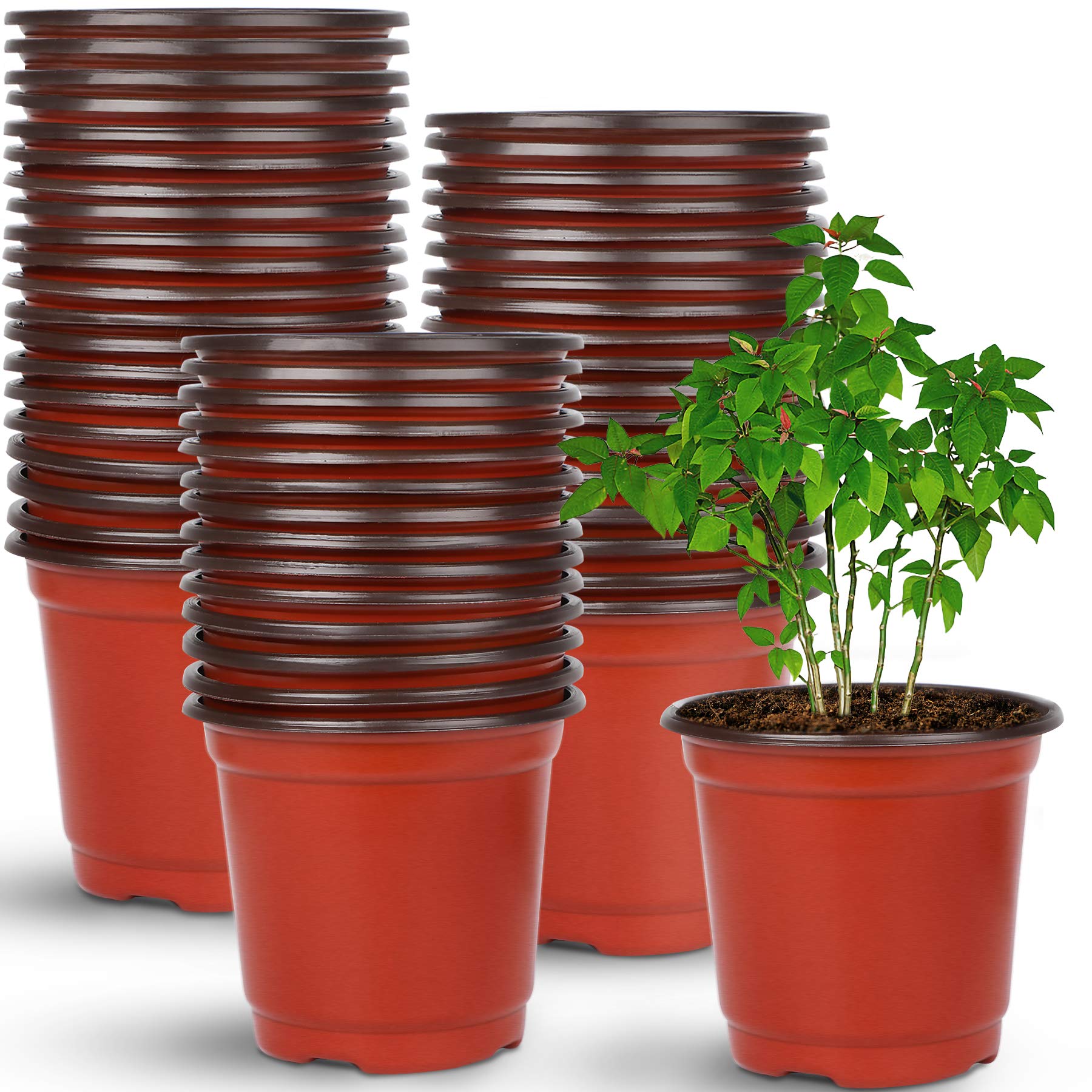 Augshy 4-inch red nursery pot front view
