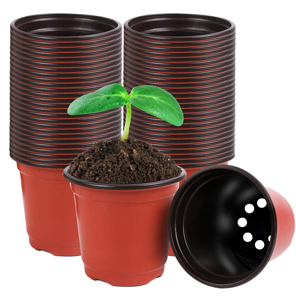Augshy 4-inch red plastic nursery pots front view