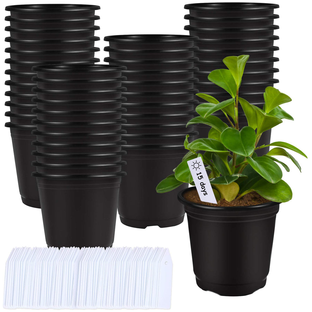 Augshy 75 Pcs 6 Inch Black Plastic Nursery Pots front view