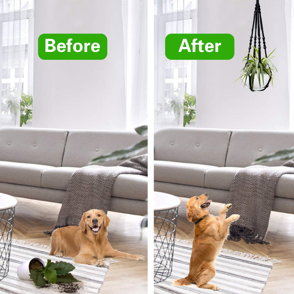 Augshy Macrame Hanging Planter showing hooks included