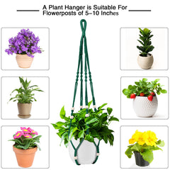 Augshy macrame plant hanger displayed indoors in a living room