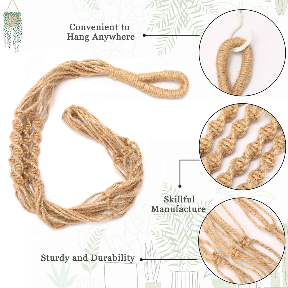 Augshy macrame plant hangers displayed in a living room setting
