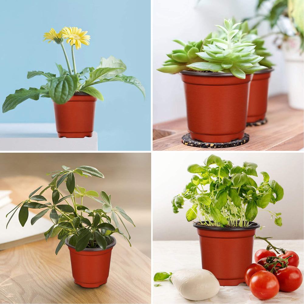 Augshy nursery pot with flowers planted