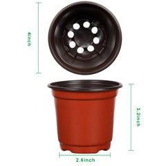 Augshy nursery pot with seedlings inside