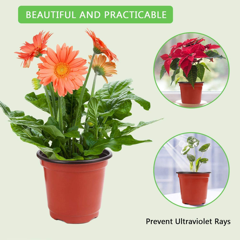 Augshy nursery pots in a garden setting