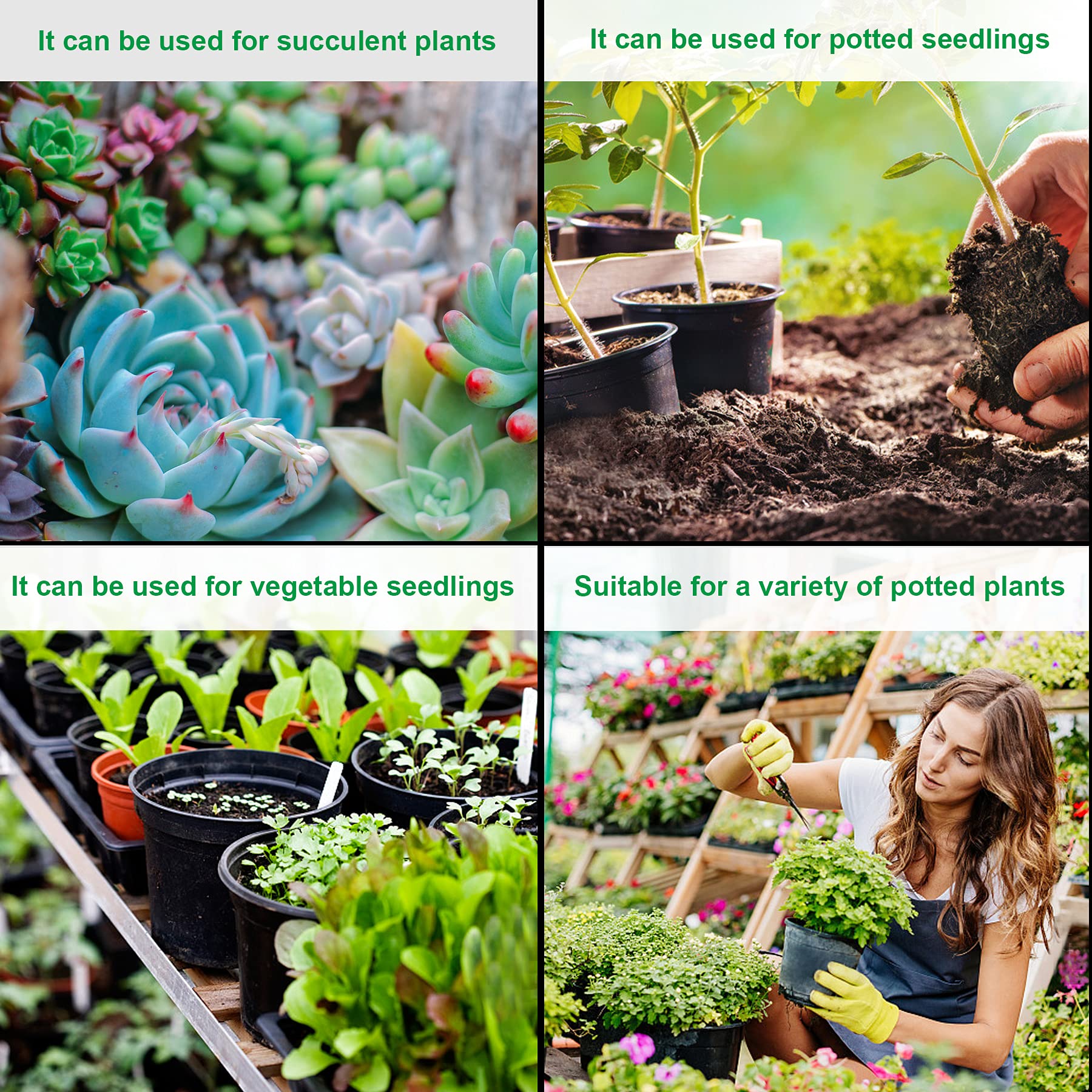Augshy nursery pots in a home garden setup