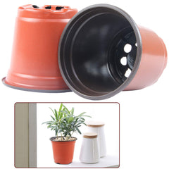 Augshy nursery pots used for succulent propagation