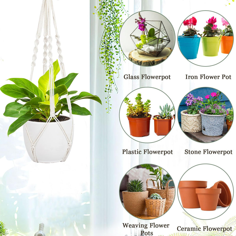Augshy plant hanger displayed with a plant inside