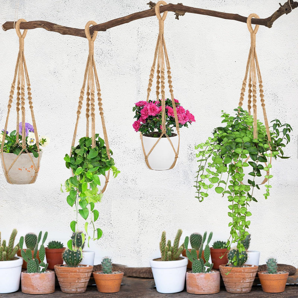 Augshy plant hanger with hooks in packaging