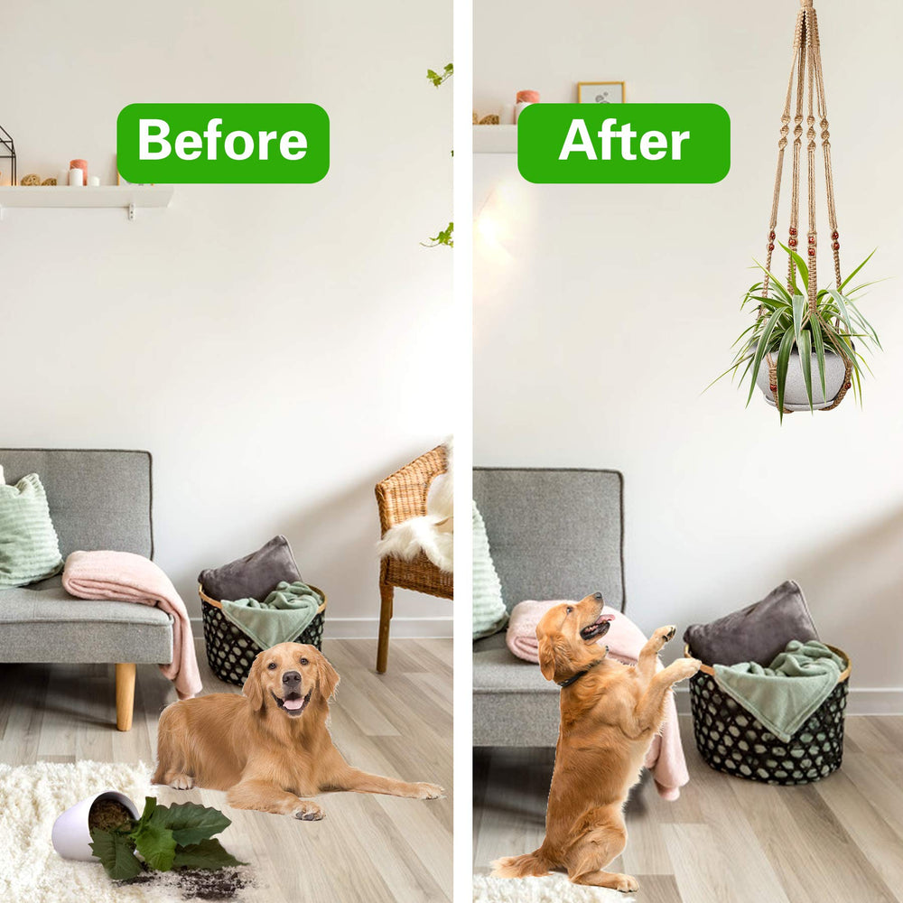 Augshy plant hanger with hooks included