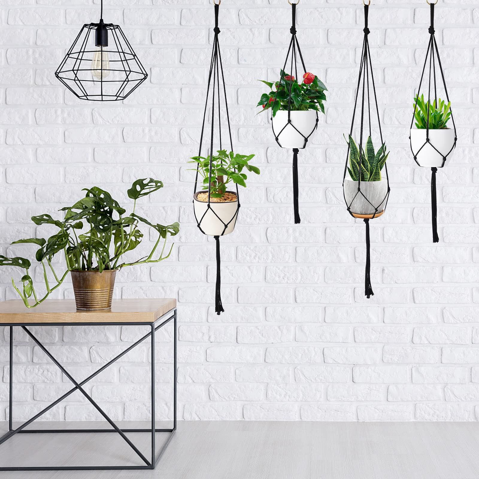 Augshy plant hangers with potted plants for decoration