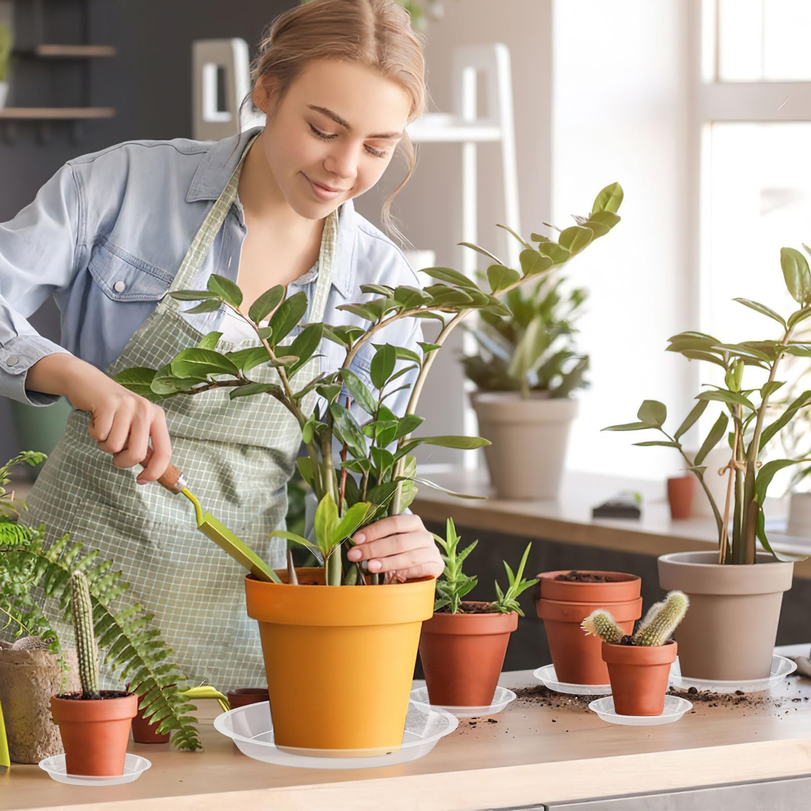 Augshy plant saucers with decorative stones
