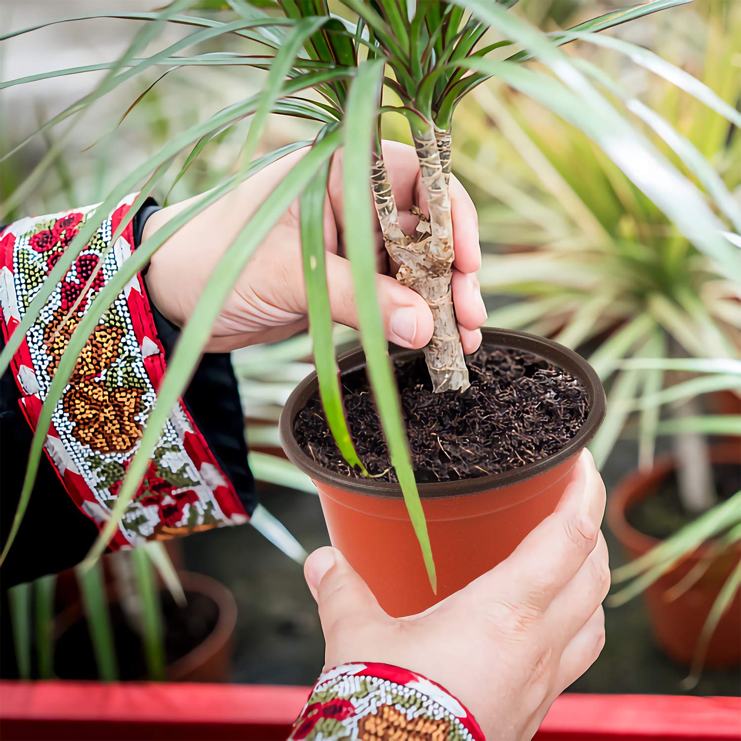 Augshy plastic nursery pots displayed in a garden