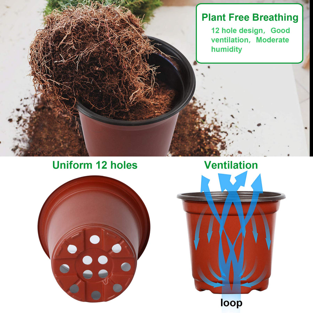 Augshy seed starting pots with succulent seedlings