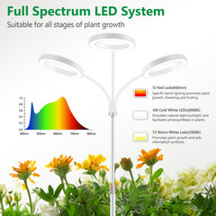 Aumtrly 3 Head Grow Light setup with indoor plants