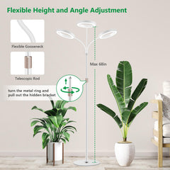 Aumtrly Grow Light showing adjustable height feature