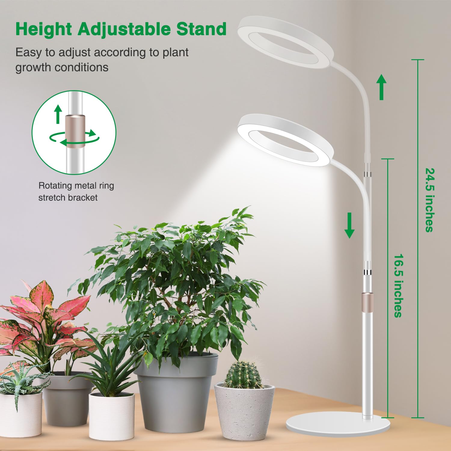 Aumtrly grow light showing metal base and telescopic rod