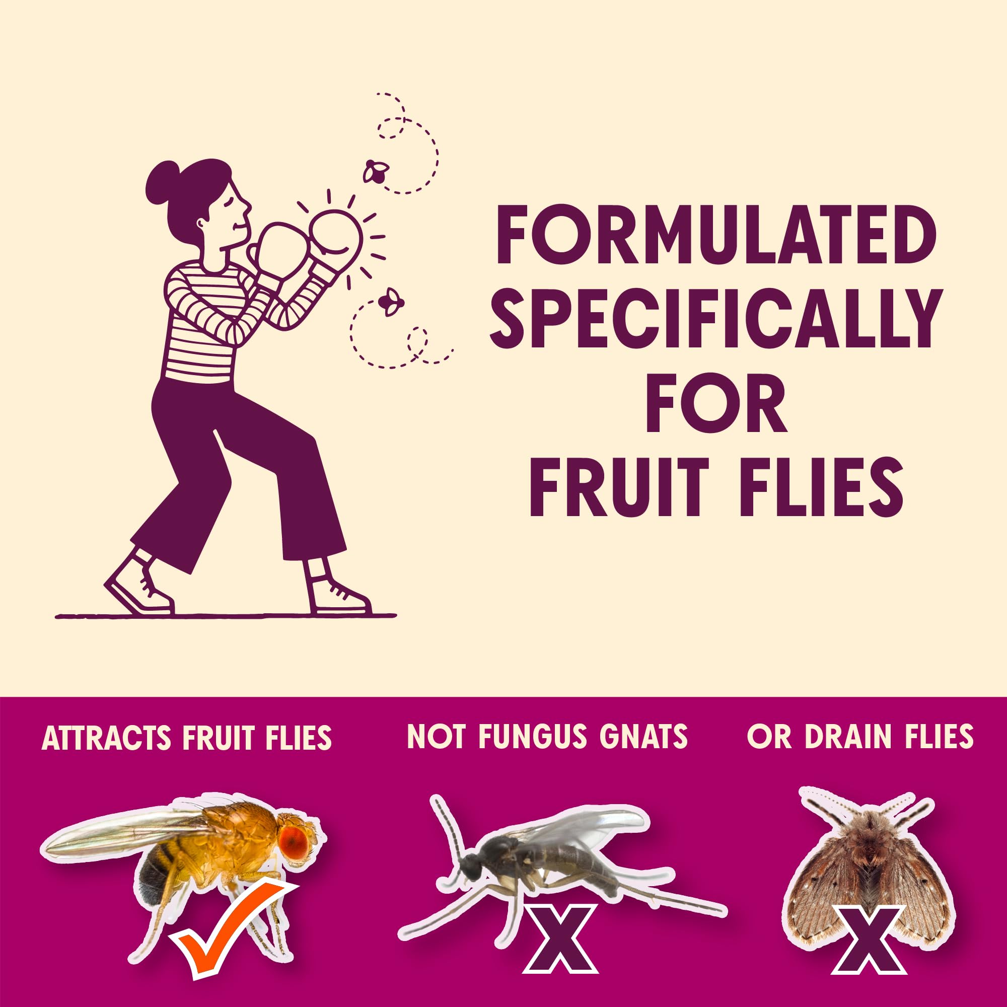 Aunt Fannie's FlyPunch Fruit Fly Trap in kitchen setting