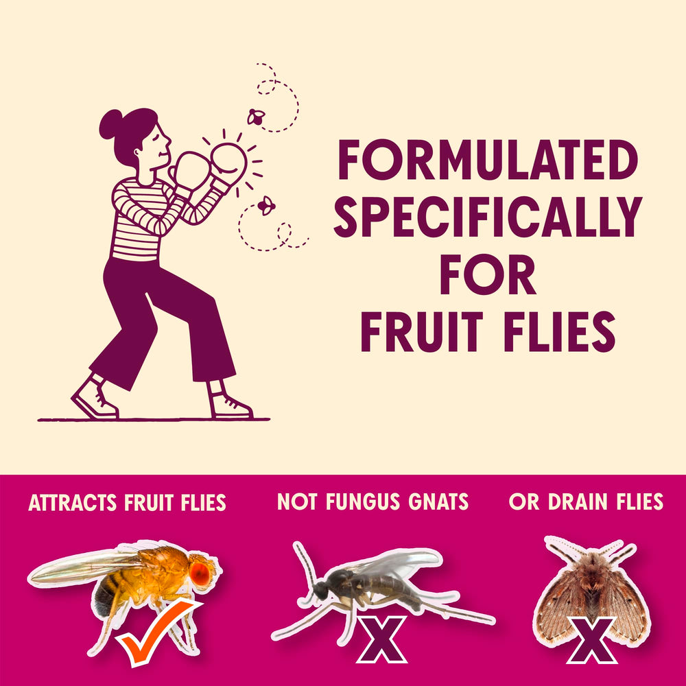 Aunt Fannie's FlyPunch Fruit Fly Trap in kitchen setting