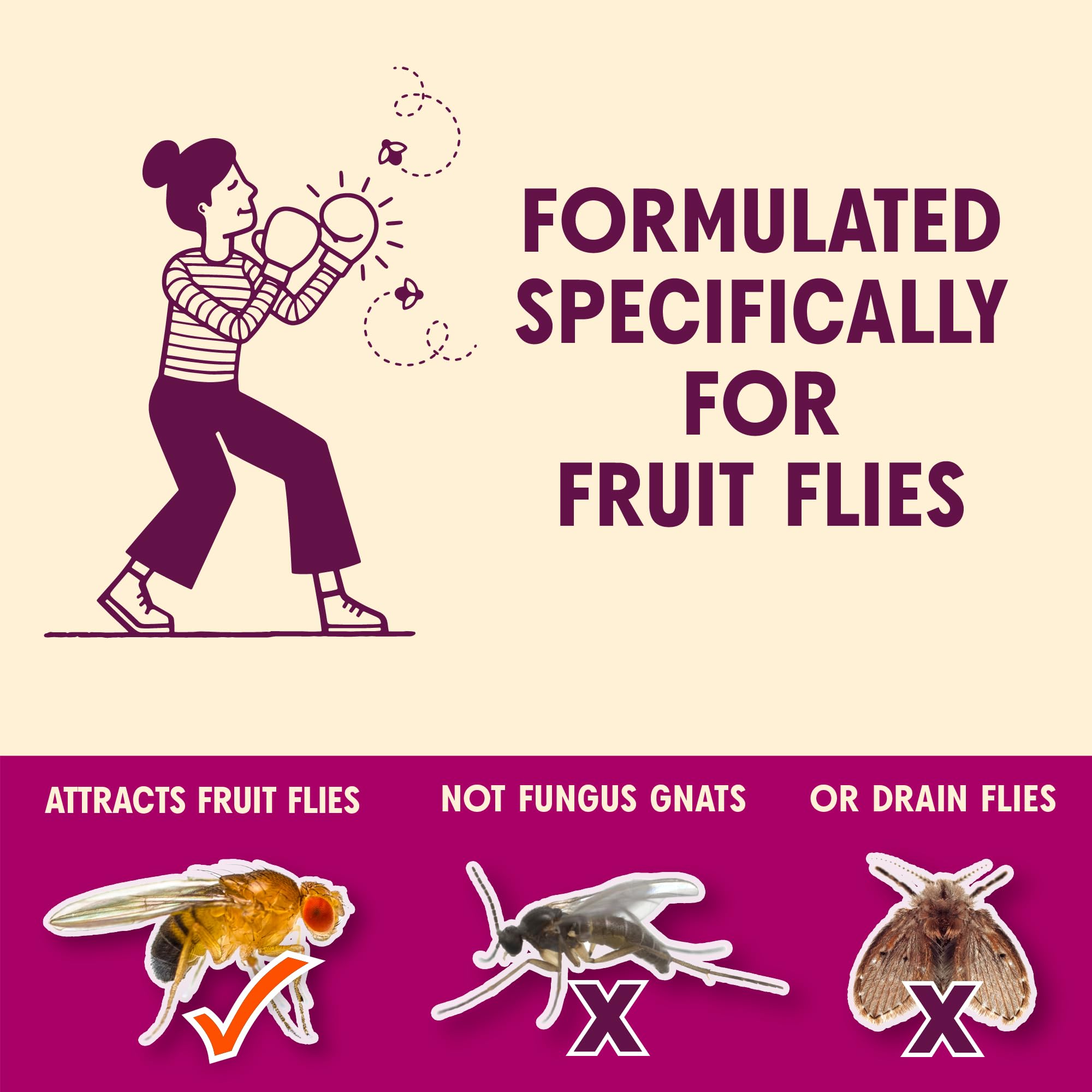 Aunt Fannie’s FlyPunch trap in use near a fruit bowl