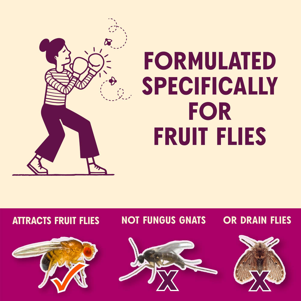 Aunt Fannie’s FlyPunch trap in use near a fruit bowl