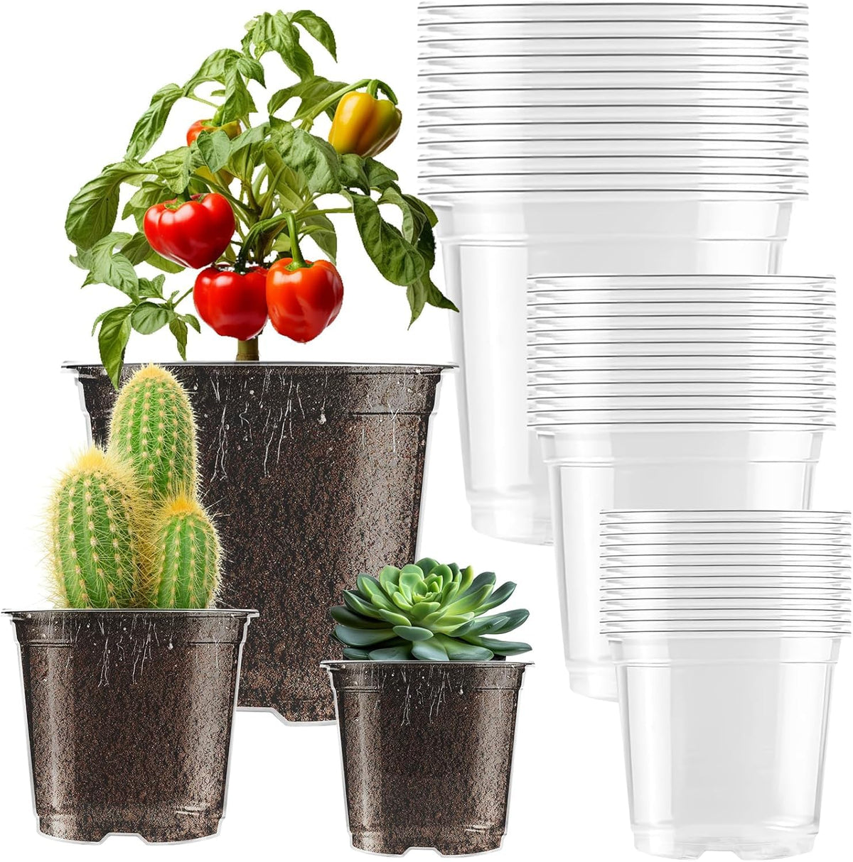 auriikoop Clear Nursery Pots pack of 36 in various sizes