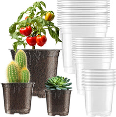 auriikoop Clear Nursery Pots pack of 36 in various sizes