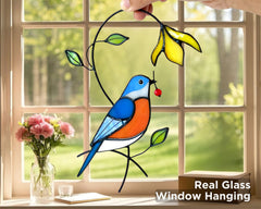 AuroAura Bluebird Stained Glass Suncatcher in a floral gift box