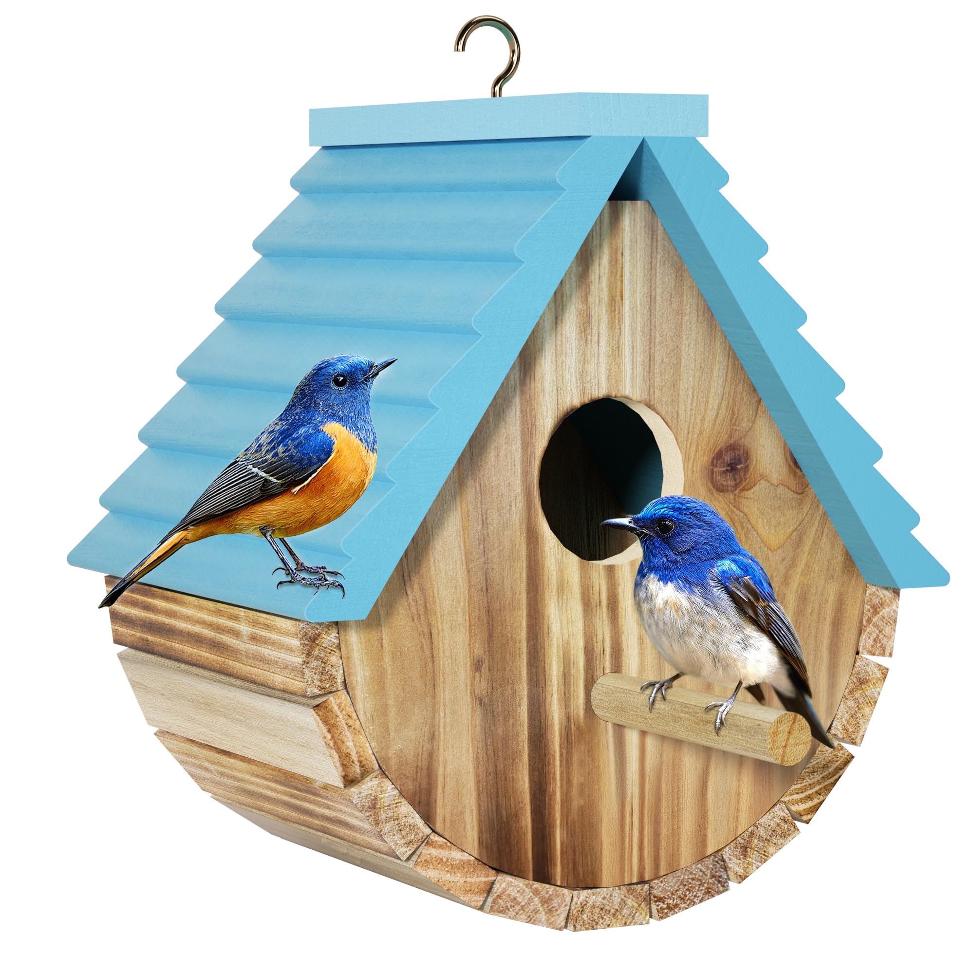 Auslar bird house front view with carbonized black color and blue top