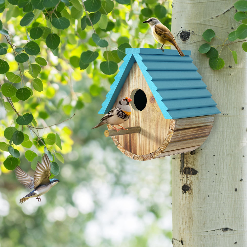 Auslar bird house hanging outside with birds nesting