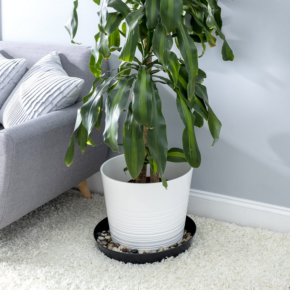 Austin Planter 16-inch saucer packaging