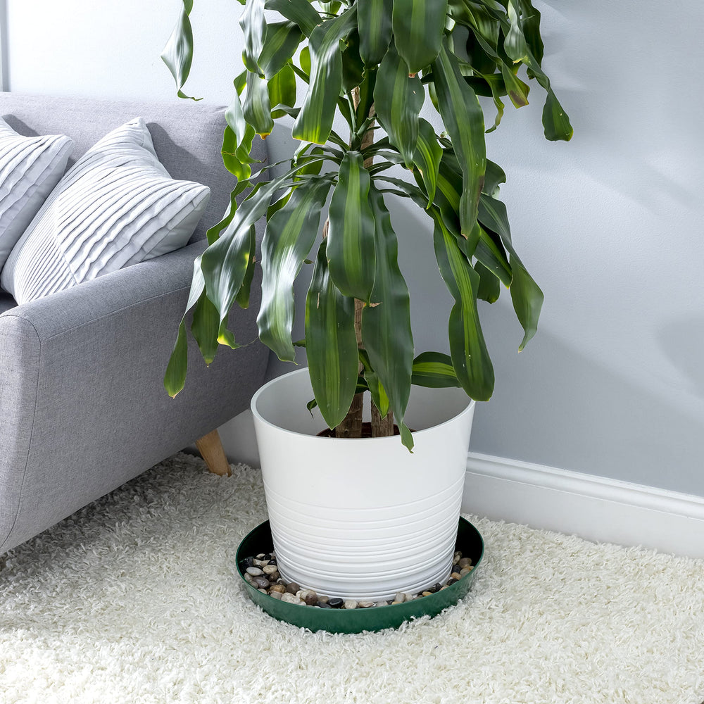 Austin Planter 18 inch saucer packaging