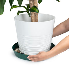 Austin Planter 18 inch saucer with pots in use