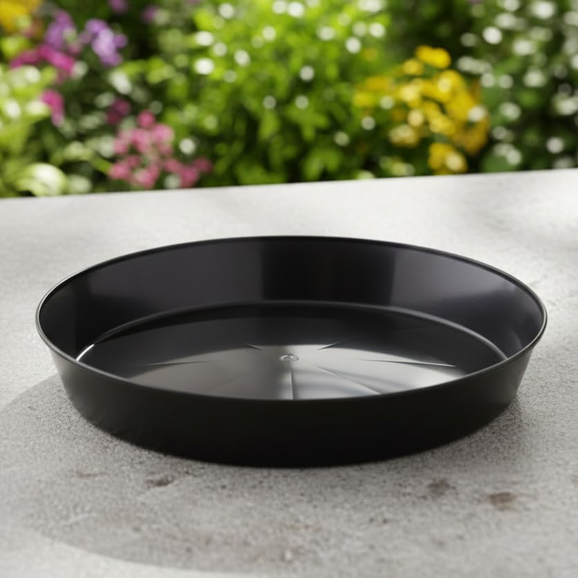 Austin Planter 4 Inch black saucer with plant