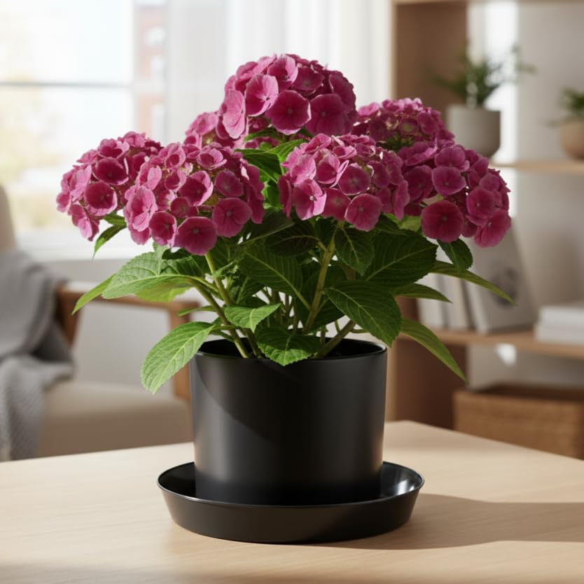 Austin Planter 4 Inch black saucers stacked