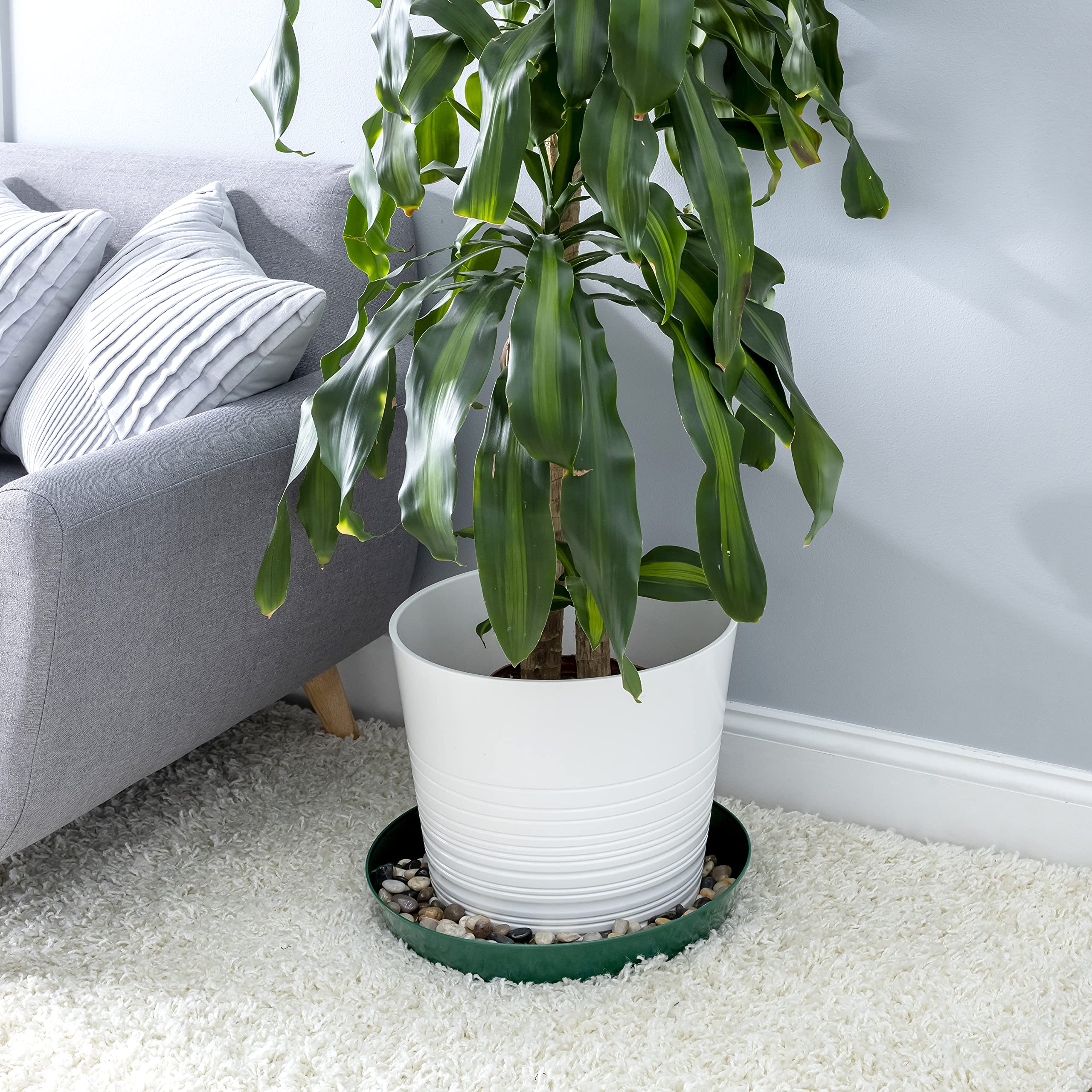 Austin Planter Saucer 16 inch dark green in garden