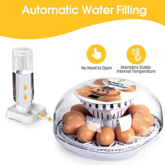 Auto-refill water bottle for ShellBr8ker Nest I