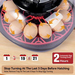 Automatic egg turning mechanism in Humorrap incubator