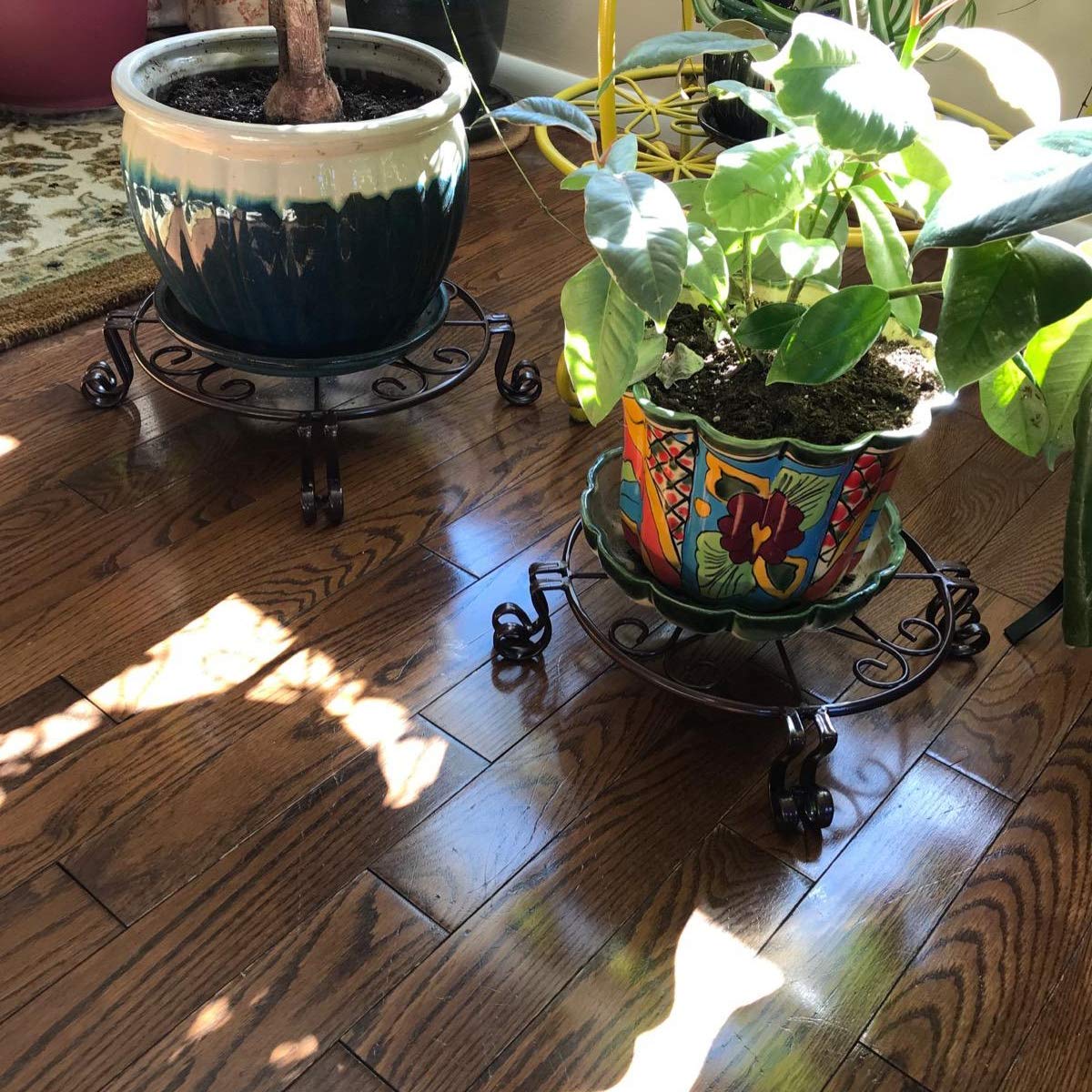 Autopromake plant stand in kitchen with potted herbs