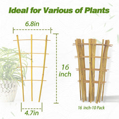 Avalution Bamboo Trellis installed in potted climbing plants
