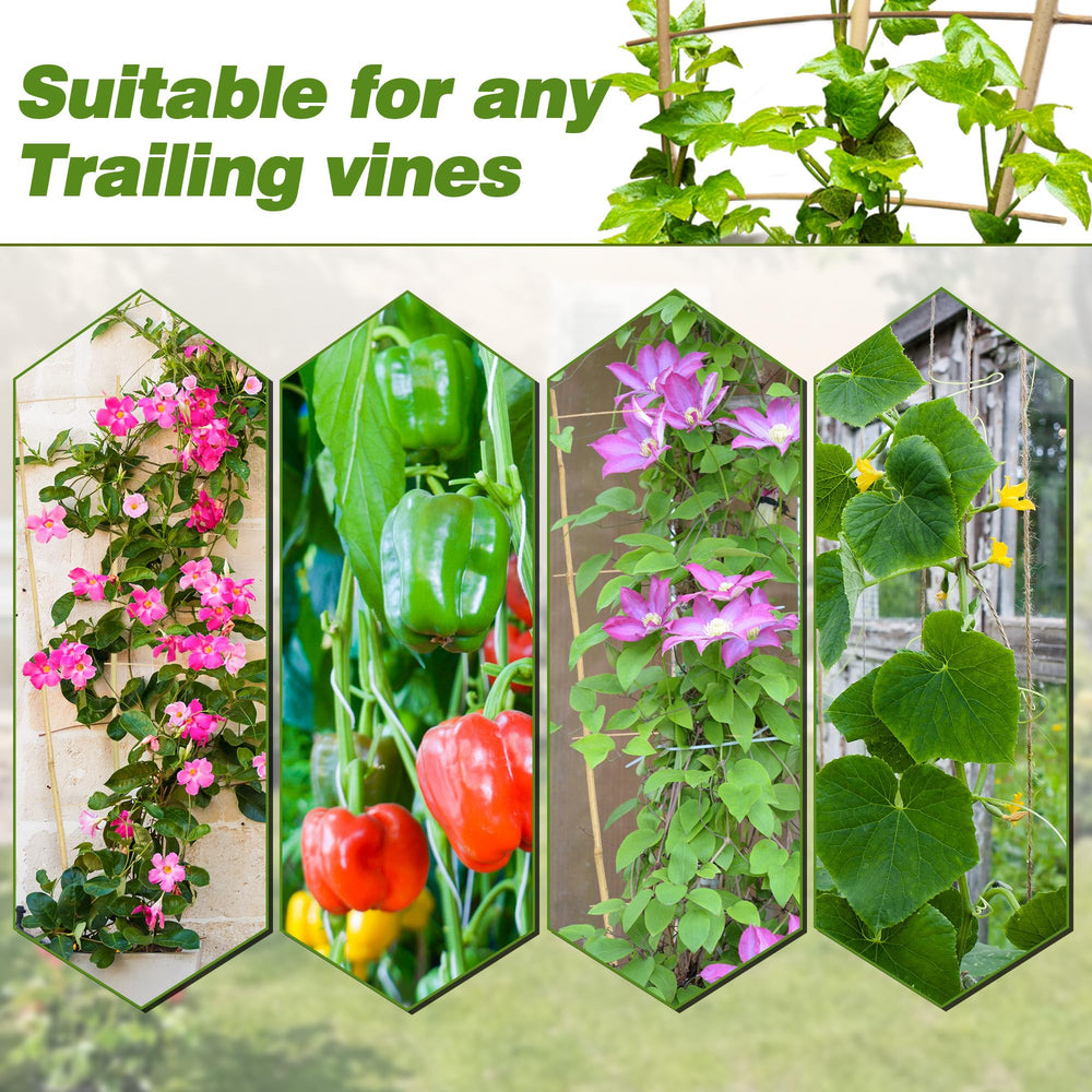 Avalution Bamboo Trellis pack displayed with packaging