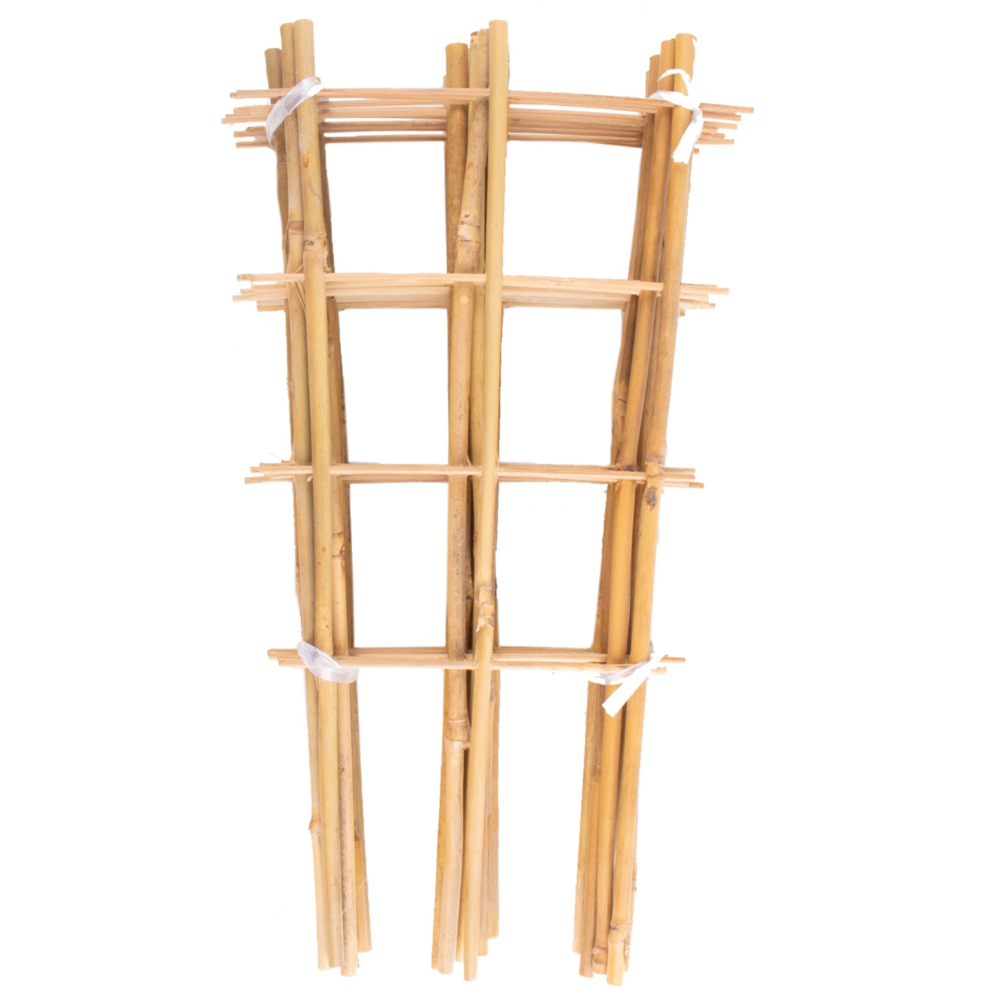 Avalution Bamboo Trellis pack of 10, fan-shaped design, 16 inches
