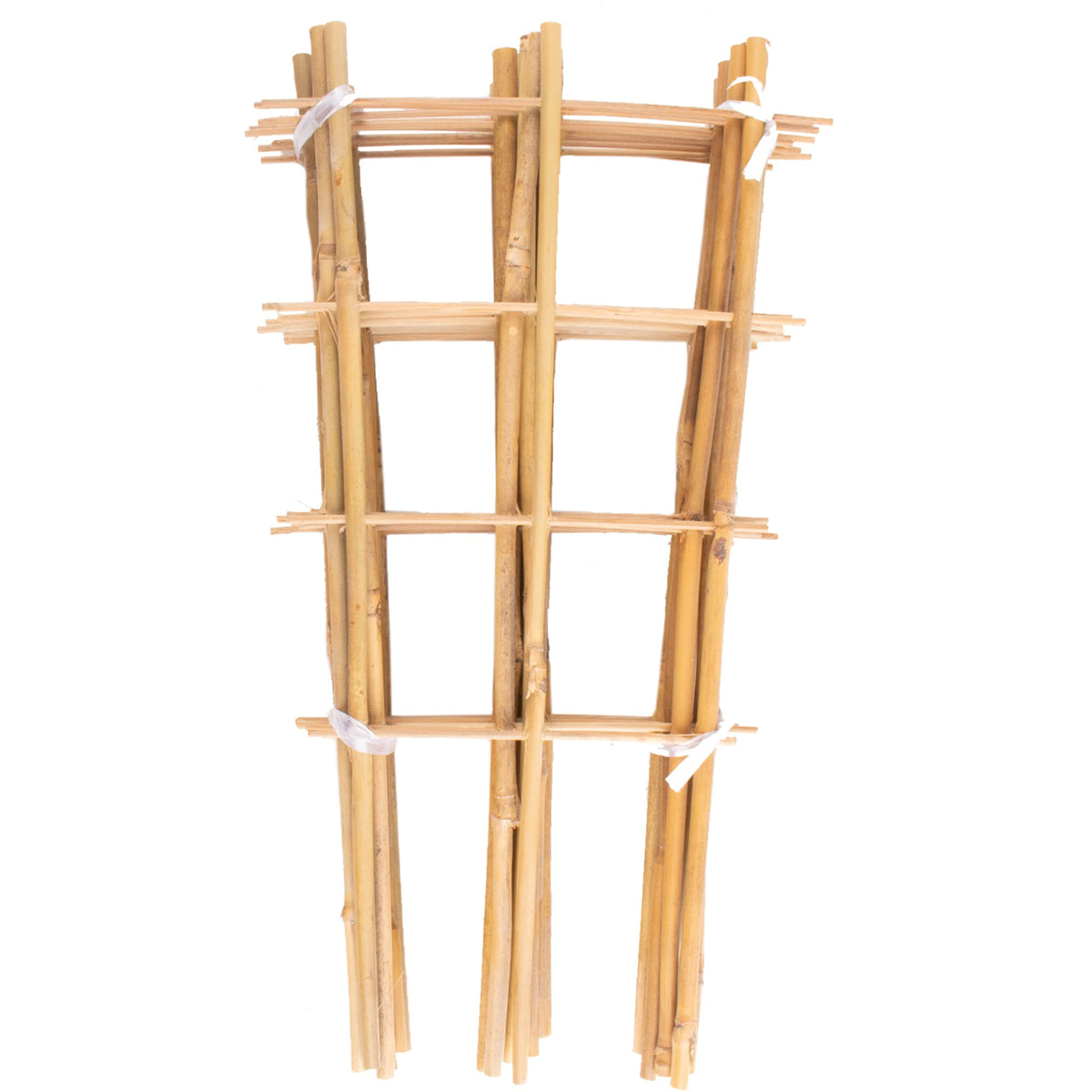 Avalution Bamboo Trellis pack of 10, fan-shaped design, 16 inches