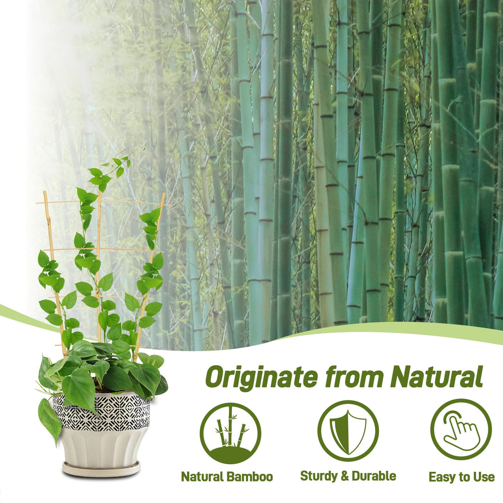 Avalution Bamboo Trellis placed in potted plants indoors